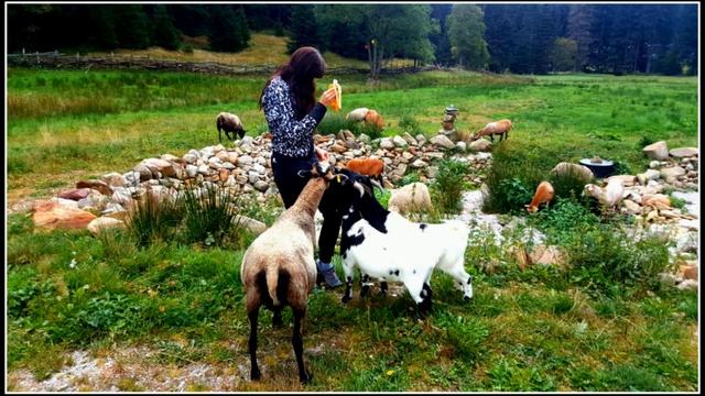 Cнежка - 1603 м.