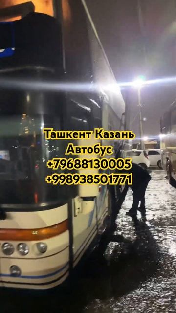 Ташкент Казань автобус #автобусы #волгоград #москва #а? смотреть онлайн