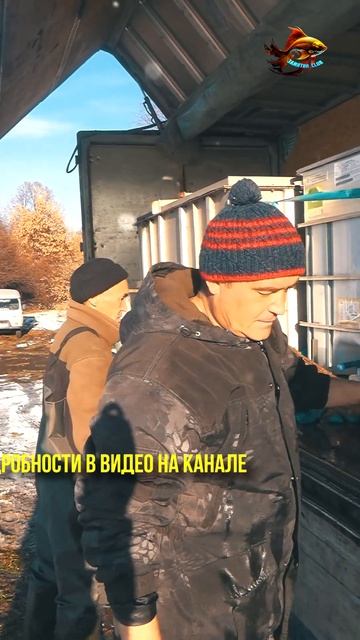 Как в один день зарыбить две сотни тысяч больших рыб Р? смотреть онлайн