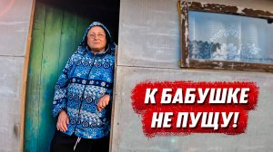 Чем закончились поиски бабушки | Орловская обл, Малоархангельский р/н д. Гринёвка