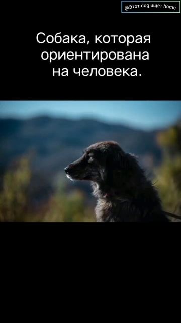 Где искать тебя? смотреть онлайн