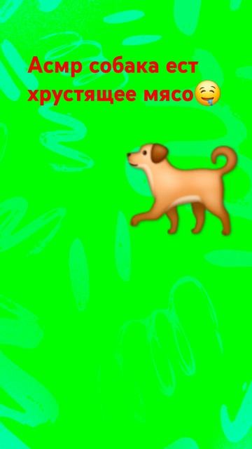 асмр хрустящего мясо ест собака смотреть онлайн