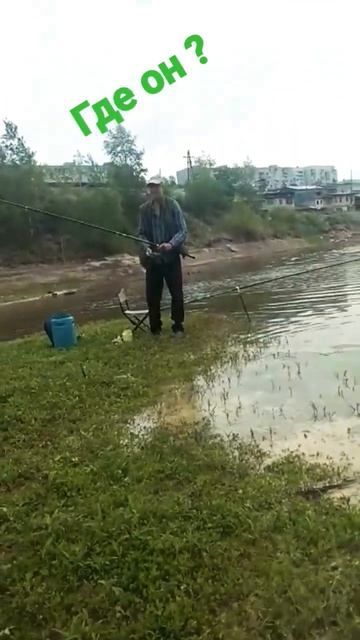 молоток смотреть онлайн