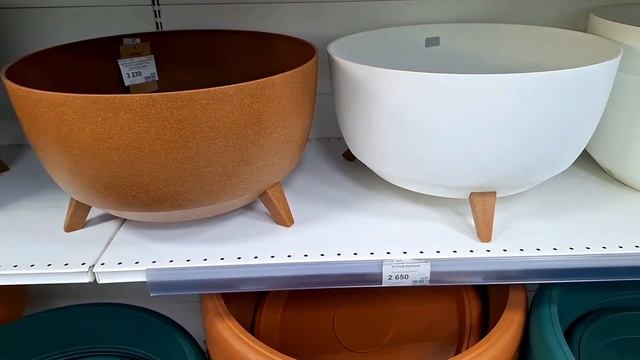 В Рощу за семенами ! Выбор большой , цены низкие. Магази смотреть онлайн