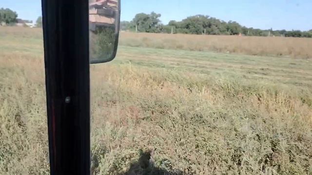 Наконец то третий укос, кошу люцерну смотреть онлайн