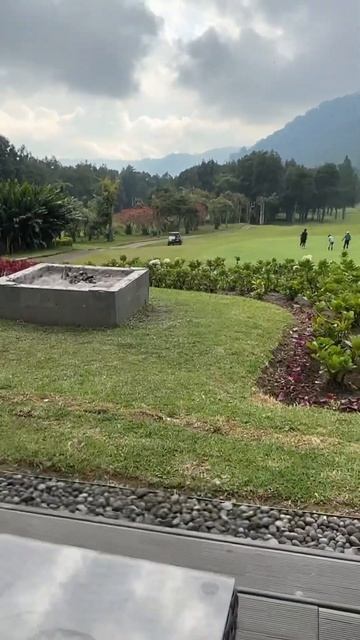 Кофе должен быть только с таким видом #бали #travel #убуд #? смотреть онлайн