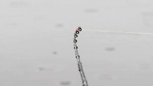 СУПЕР ОТКРЫТИЕ СЕЗОНА! ЛЕЩ И ГУСТЕРА НА ФИДЕР В МАЕ 2025!