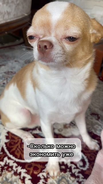 Борьба за тепло в доме смотреть онлайн