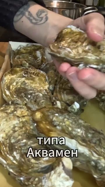 Морепродукты #устрицы #готовка #морепродукты #икра #ли? смотреть онлайн