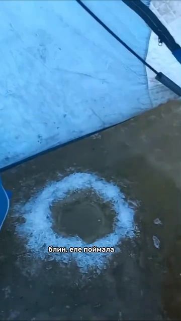 Спасибо за живой отзыв на наши булеры! смотреть онлайн