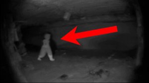 ДЕМОНЫ В ПОГРЕБЕ