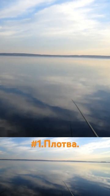 #1часть .Плотва на водохранилище. #рыбалка . #fishing . #озер?