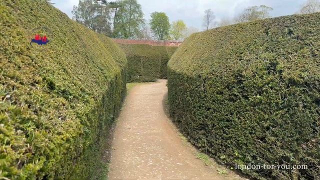 1268 Лабиринт Marlborough Hedge Maze