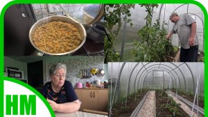 14 мая. У мужа изменились показания сахара в крови 🤔.  Подвязала томаты в теплице.