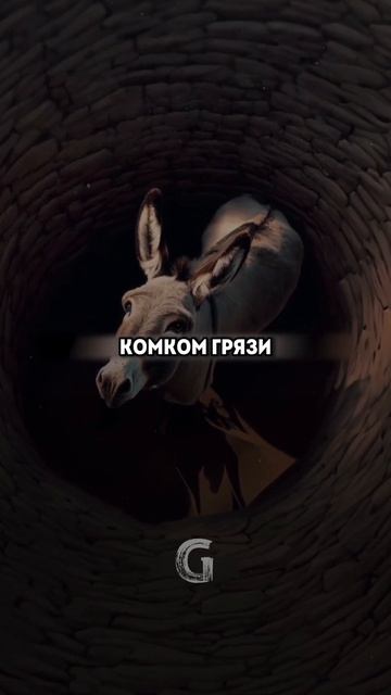 История об ослике, который упал в колодец! смотреть онлайн