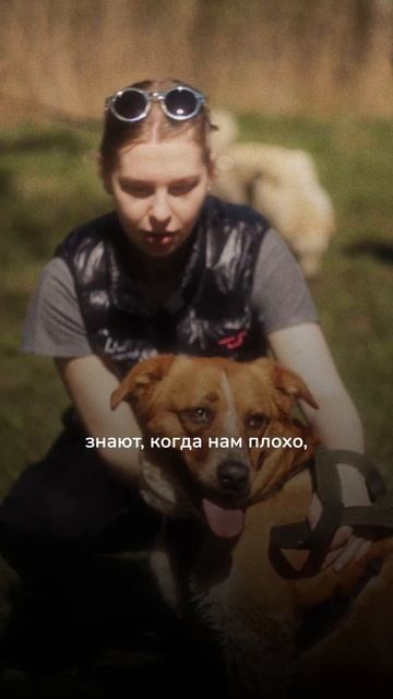 Вы когда-нибудь задумывались...?🐶🐱 смотреть онлайн