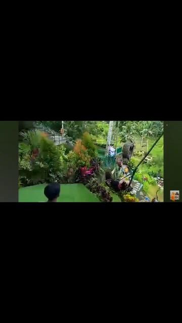 Самая большая качеля / Камиль & Амина Кикидо смотреть онлайн