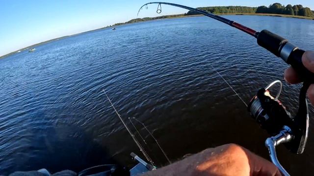 Окунь в черте города. Спиннинг 06.09.2024