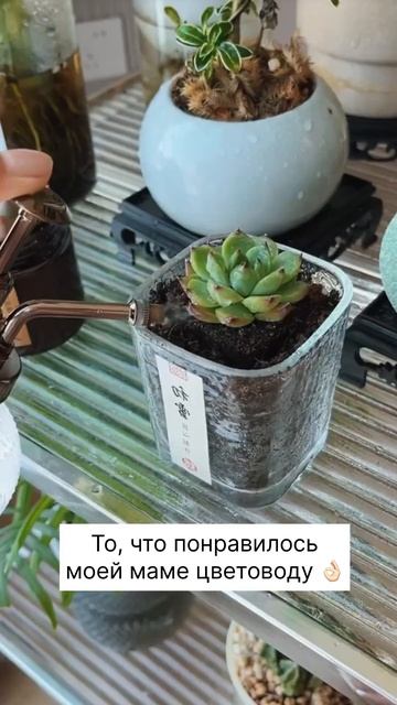 Артикул ➡️ Яндекс маркет: YM10066736 (не забудь в поиске вп смотреть онлайн