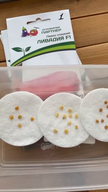 Замачиваю семена на проращивание смотреть онлайн