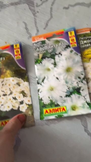 Разные сорта питуний и где я заказываю семена смотреть онлайн