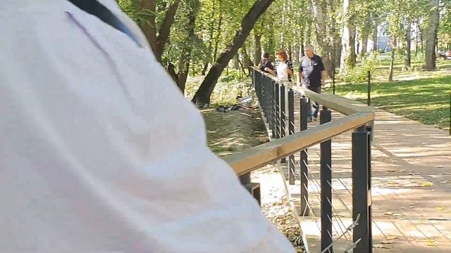 ЛЕБЕДИ Едят и Отгоняют КРЫСОК смотреть онлайн