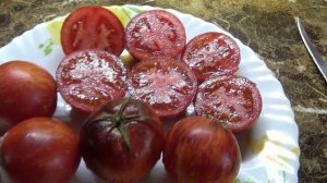 Томат Золотое яблоко из Сен-Жан-де-Борегар. Полный обзор и дегустация. Новинка 2023 года.