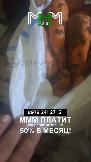 Морковь 🥕 с холодильника есть объем смотреть онлайн