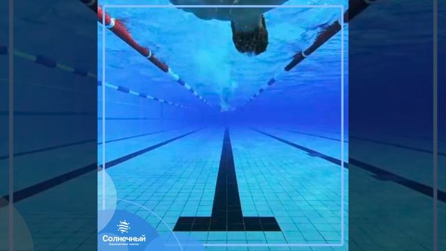 Почему плавание в бассейне олимпийских стандартов так популярен?