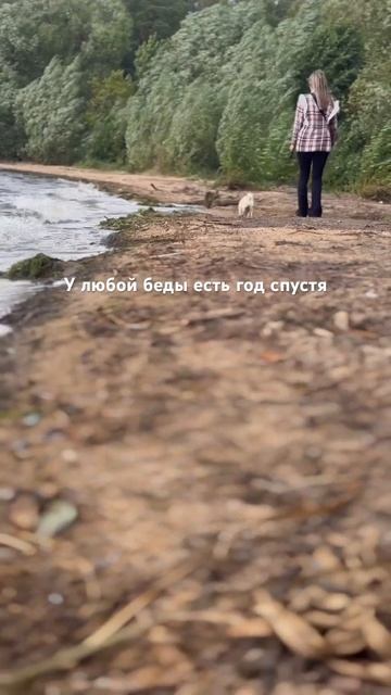 У любой беды есть год спустя 😜 #love #lifevlog #minivlog смотреть онлайн