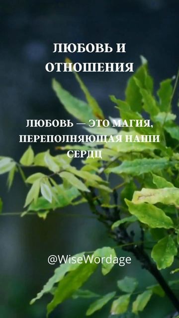 Свет в темноте: Вдохновляющие цитаты смотреть онлайн