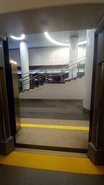 Закрытие дверей в Штадлере на Зеленолужской линии Мин смотреть онлайн