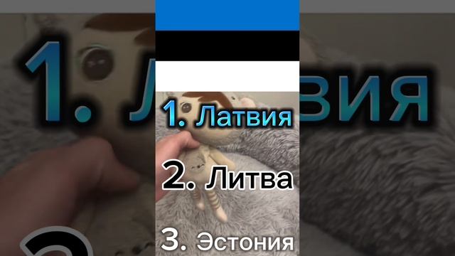 Зоомагазин ,,Четыре лапы’’! смотреть онлайн