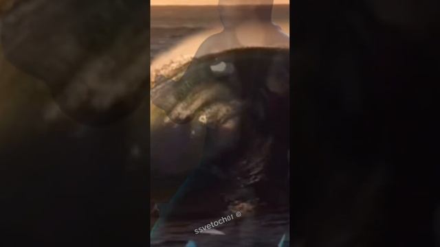 Тэхен… Чонгук…неземное притяжение …два сердца, в одной стихии 💜💜#тэхен #чонгук #вигуки #бтс смотреть онлайн