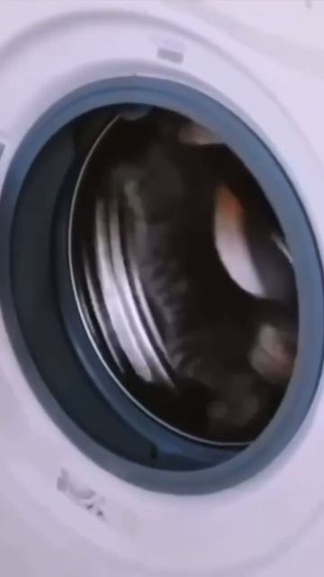 У СТИРАЛЬНОЙ МАШИНЫ СТАЛО НА ОДНУ ФУНКЦИЮ БОЛЬШЕ 🤣 смотреть онлайн