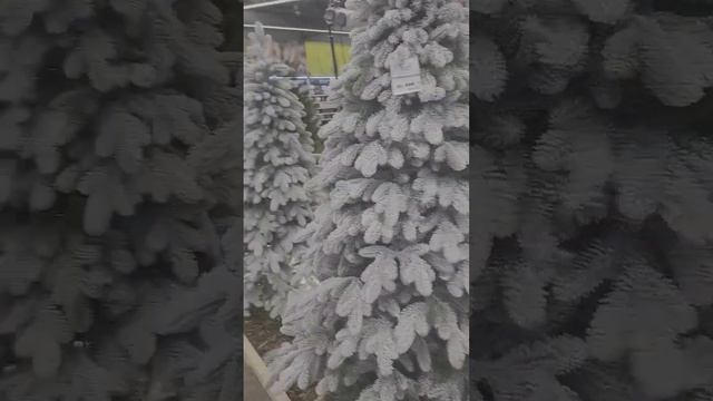 в ОБИ новый год смотреть онлайн