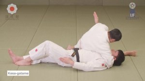 Хон кэса гатамэ