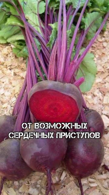 Что будет если есть 100гр свёклы #свекла #польза смотреть онлайн