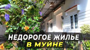 БЮДЖЕТНОЕ ЖИЛЬЕ В ЦЕНТРЕ МУЙНЕ. Lac House Homestay. #муйне2025 #вьетнам2025 #путешествие