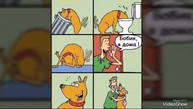 Нарезка фото приколов #1 смотреть онлайн