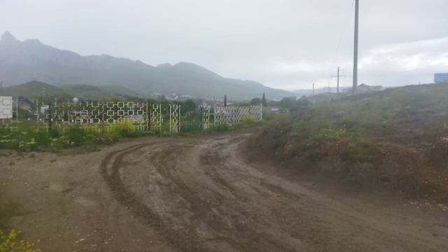 Video_2025-05-14_17-38-27