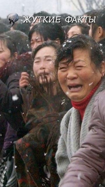 Они ели людей 😨 смотреть онлайн