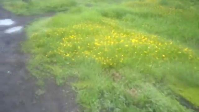 VLOG БРАТА ЗАБИРАЮТ В АРМИЮ смотреть онлайн