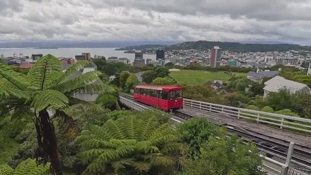 Part 4: Short Wellington Botanical Gardens Walk With The Best Cable Car View!