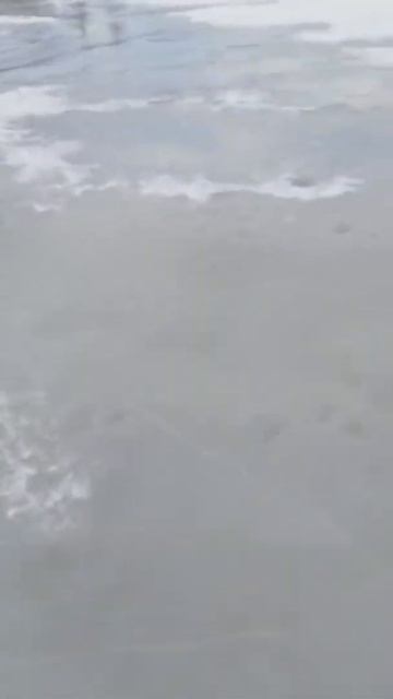 Мелкая щука смотреть онлайн