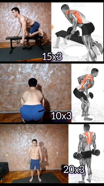 Качаем Спину Гантелями смотреть онлайн