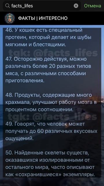 Ставь Лайк если понравился хотя бы 1 факт!! смотреть онлайн