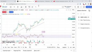 Хеджирование акций с помощью опциона