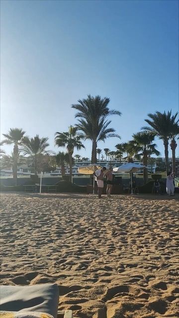 Анимация отеля Safir sharm #шармэльшейх #египет #море #отпус смотреть онлайн