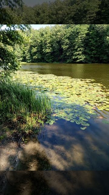 РЫБАЛКА НА МАГНИТ . Поисковый магнит двухсторонний F200?